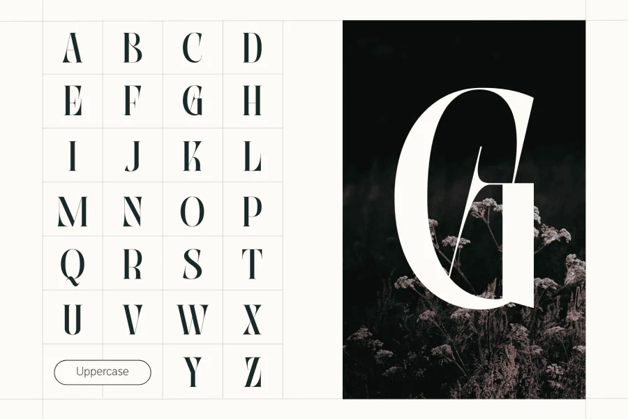 Abogia Font preview 2