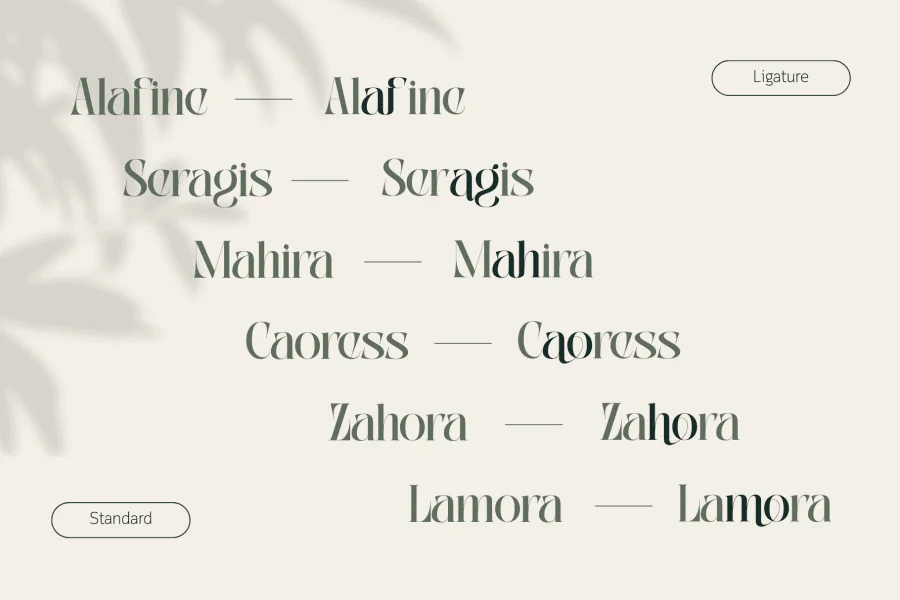 Abogia Font preview 4