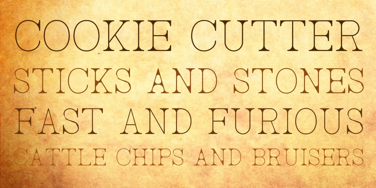 AC Big Serif Font Family preview 2