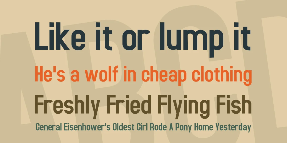 Accidental Presidency Font preview 2