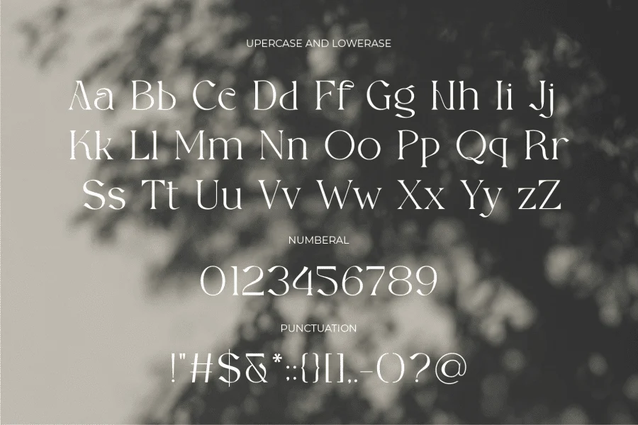 Acheria Font preview 8