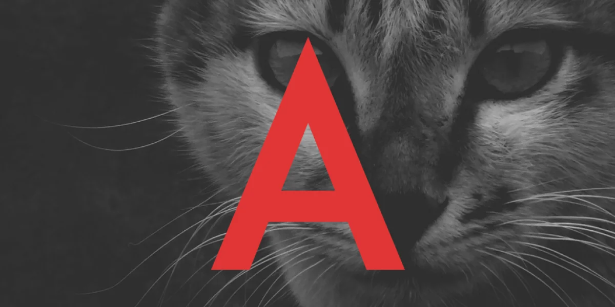 ADAM.CG PRO Font