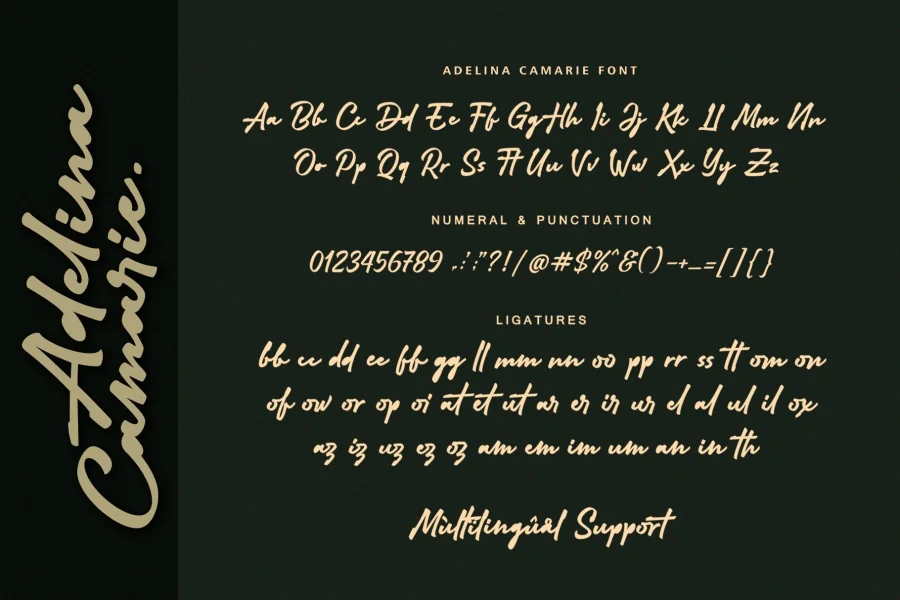 Adelina Camarie Font preview 16