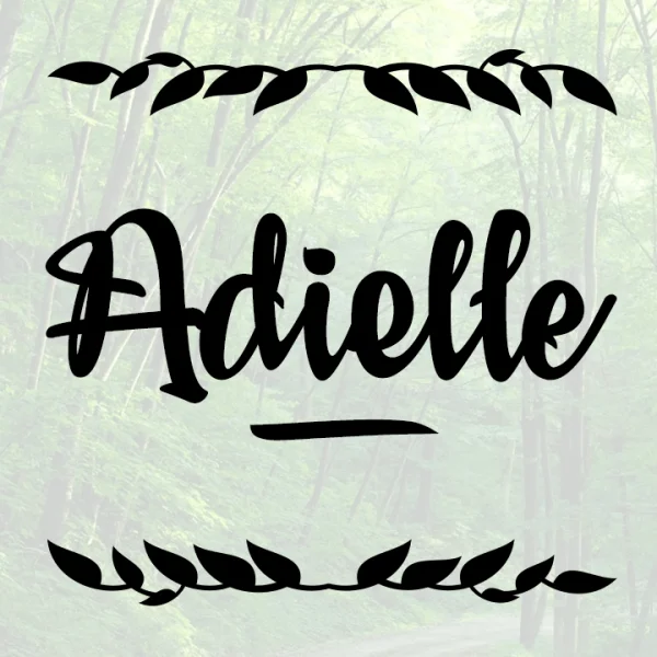 Adielle PERSONAL USE ONLY Font