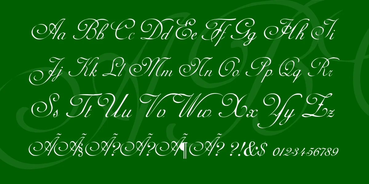 Adine Kirnberg Font Family preview 3