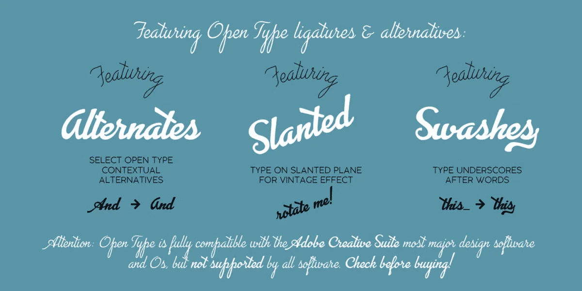 Advertising Script Font Family preview 2