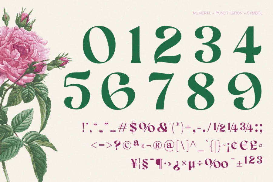 Aekiy Kagon Font preview 15