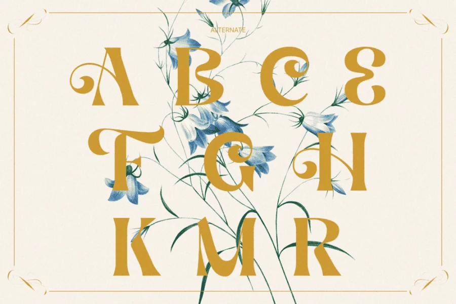 Aekiy Kagon Font preview 18