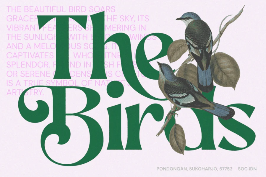 Aekiy Kagon Font preview 4