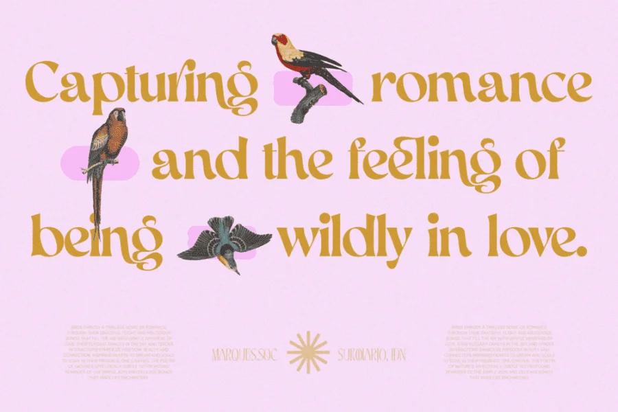 Aekiy Kagon Font preview 8