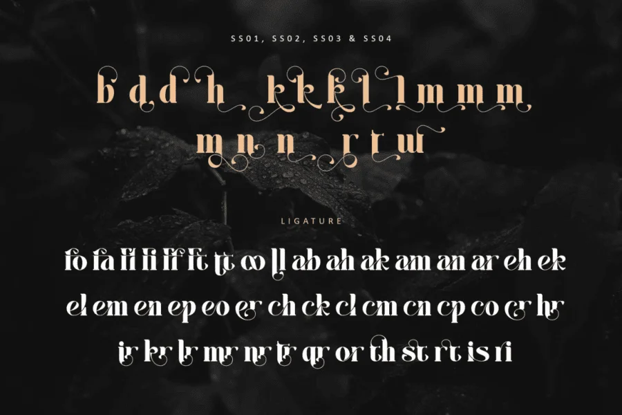 Aestera - Personal use Font preview 14
