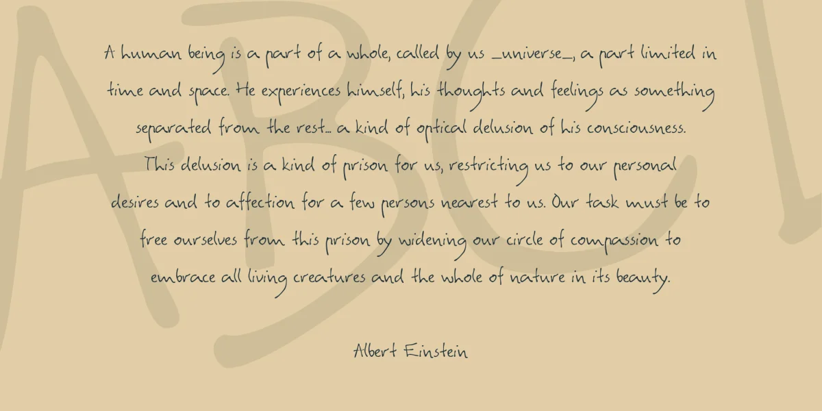 Agata Font Family preview 5
