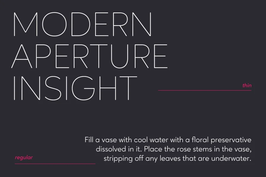 Ageo Personal Use Font Family preview 3