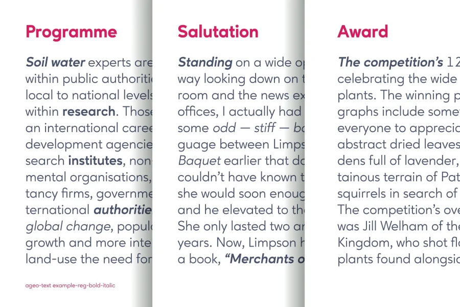 Ageo Personal Use Font Family preview 6