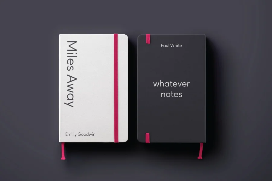Ageo Personal Use Font Family preview 7