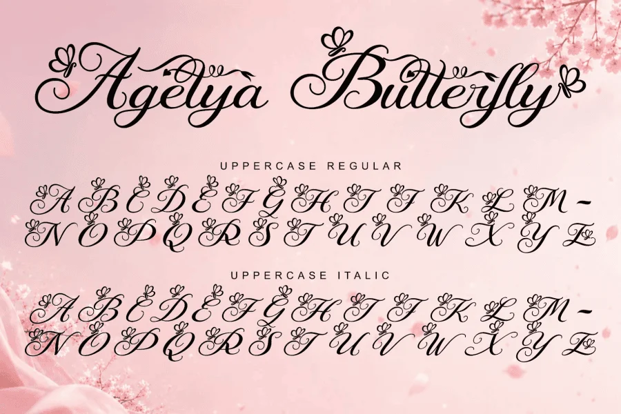 Agetya Butterfly Demo Font Family preview 7