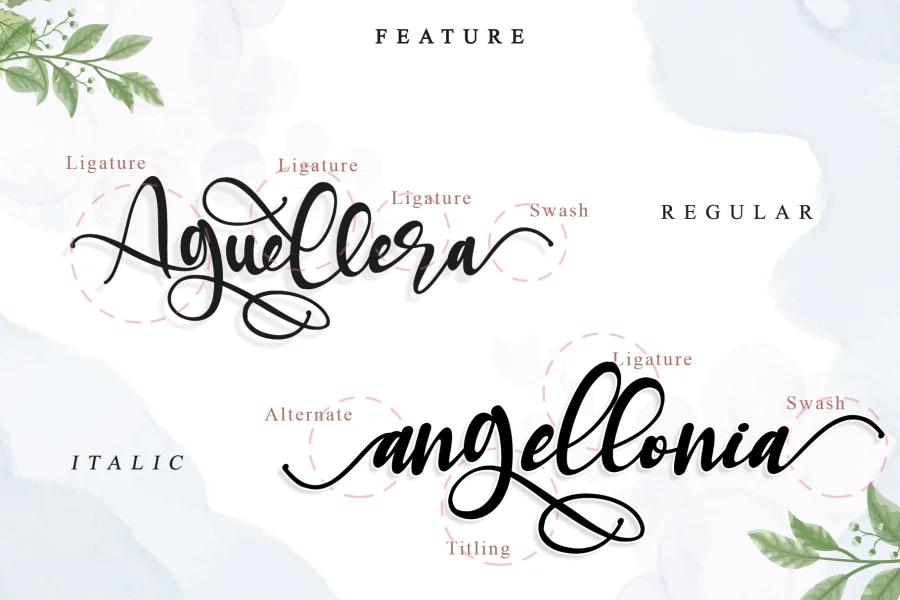 Aguellera Font preview 7