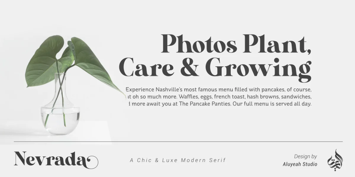 AL_Nevrada_PersonalUseOnly Font preview 7