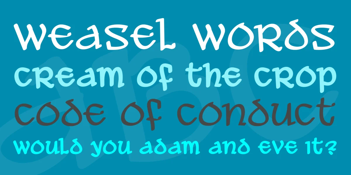 Ale and Wenches BB Font Family preview 2