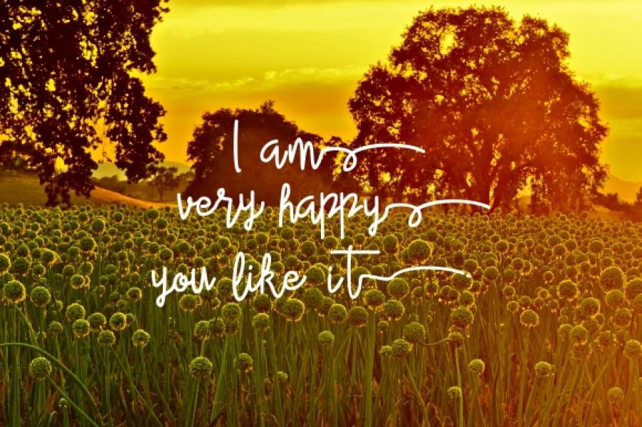 Alleana Script Font preview 2