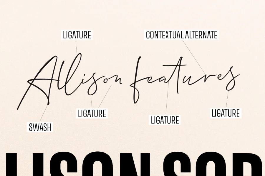 Allison Script Font preview 5