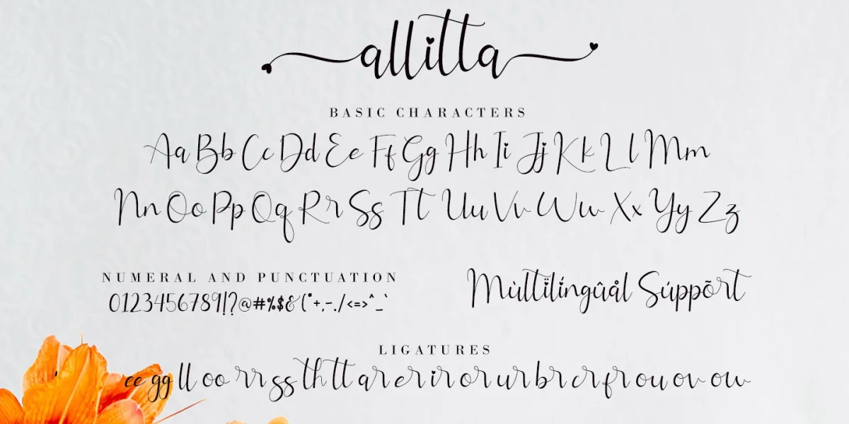 Allitta Calligraphy Font preview 8