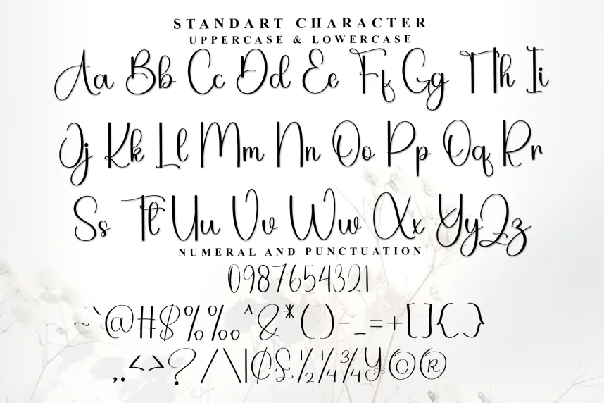 Almight – Modern Script Handwritten Font preview 6
