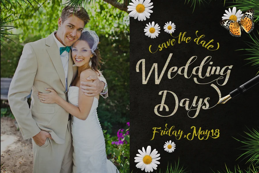 Amandella Script Font preview 3