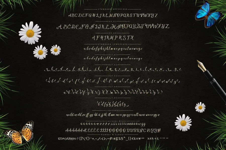 Amandella Script Font preview 4