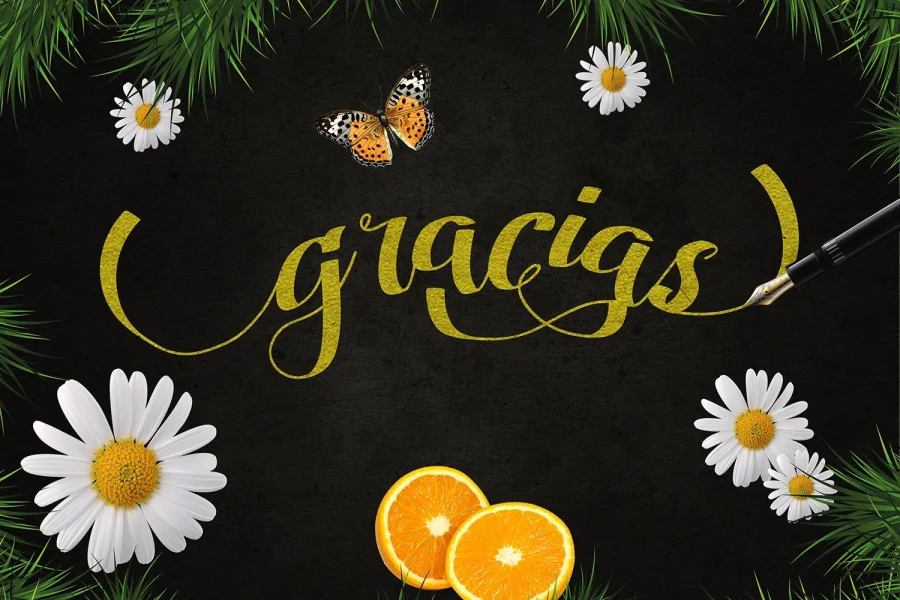Amandella Script Font preview 5