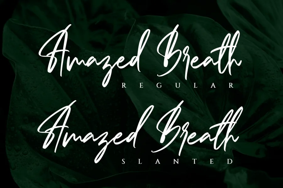 Amazed Breath Font preview 13