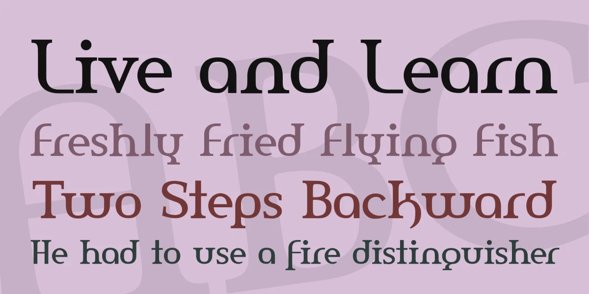 Amerika Font Family preview 2