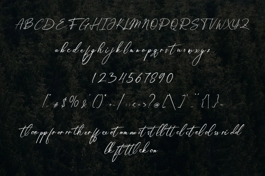 Amsterdam Handwriting Font preview 7