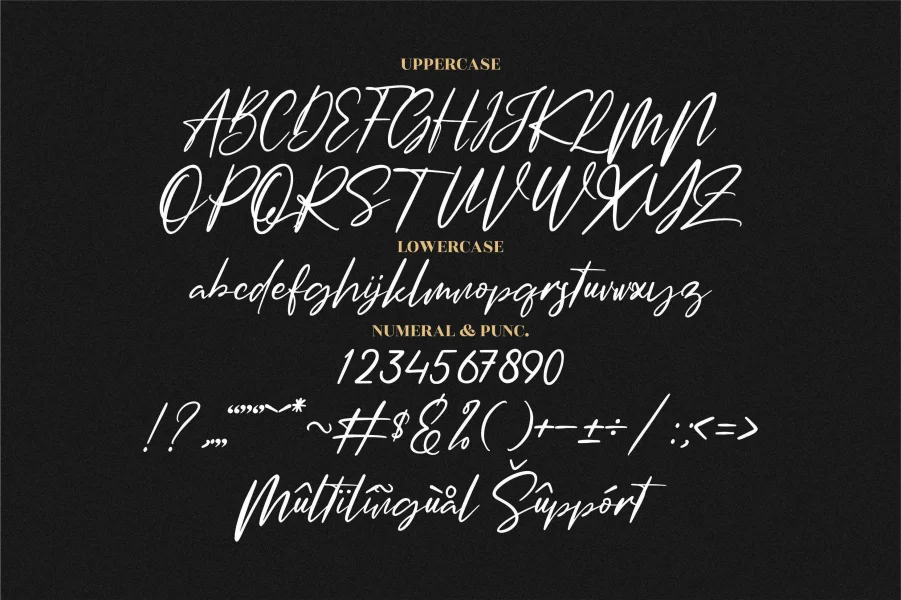 Amsterdam Signature Font Family preview 12