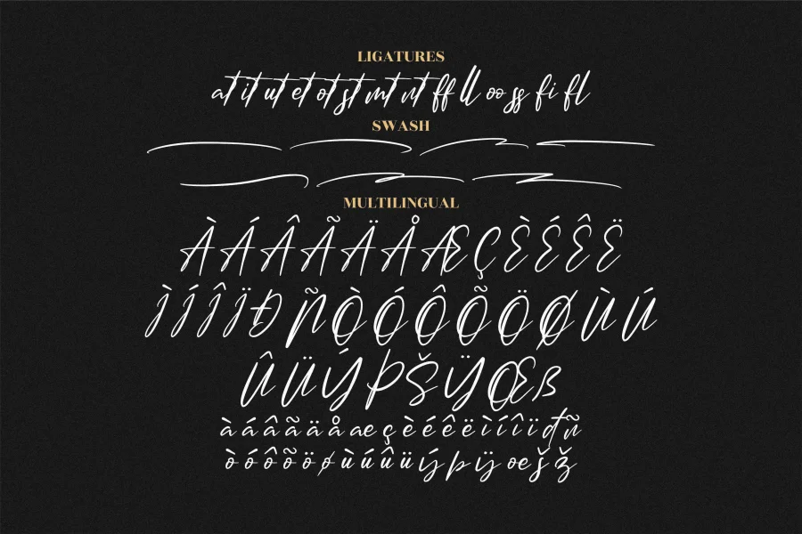 Amsterdam Signature Font Family preview 13