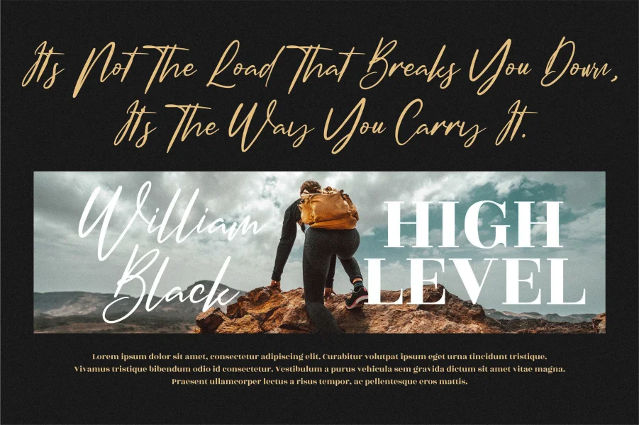 Amsterdam Signature Font Family preview 2