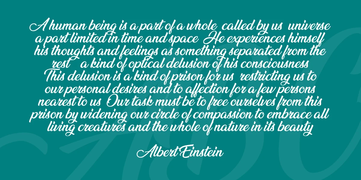 Ananda Font Family preview 3
