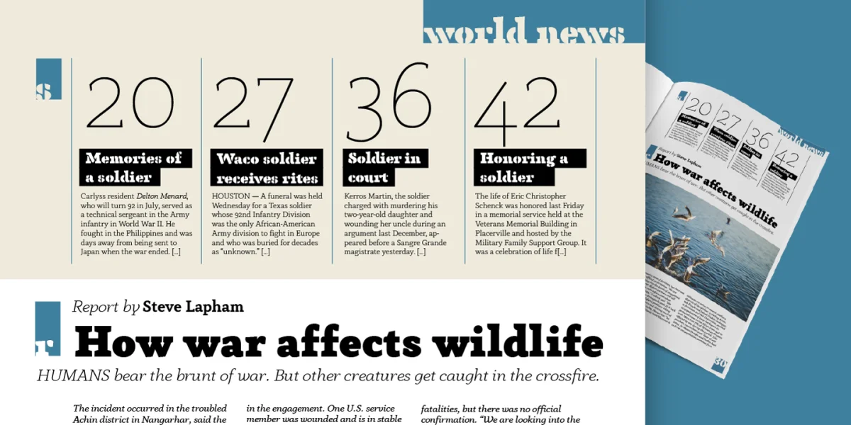Anaphora Font Family preview 4