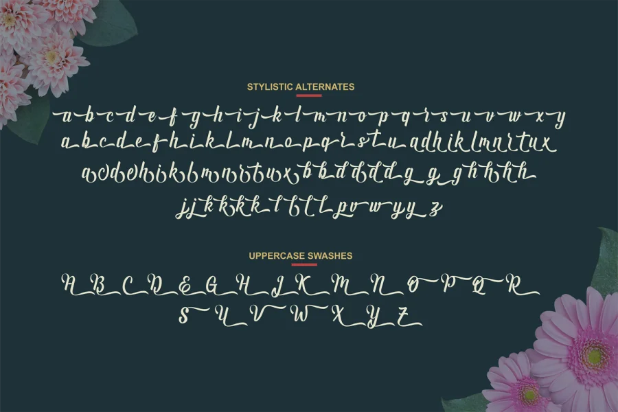 Andhyta Font preview 4