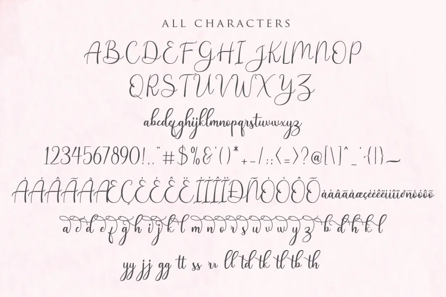 Andina Demo Font preview 11