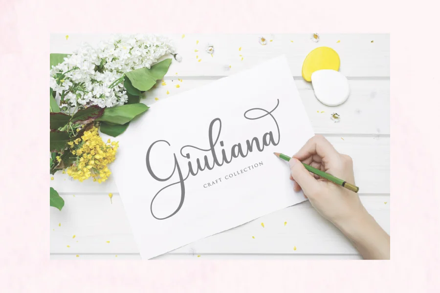 Andina Demo Font preview 5
