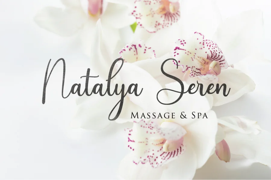 Andina Demo Font preview 9