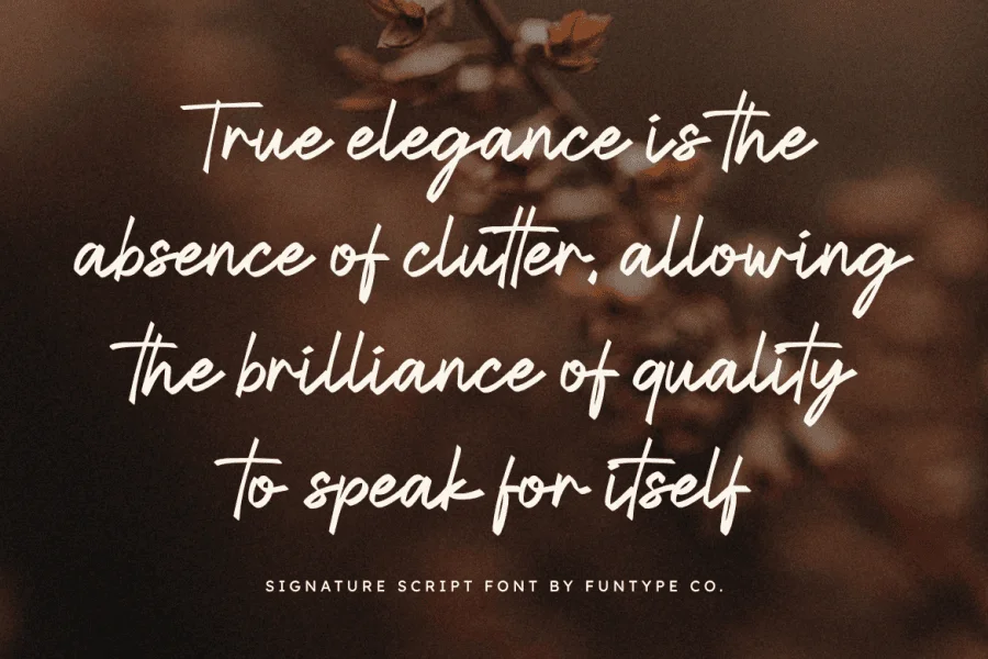 Anestha Script Font preview 4
