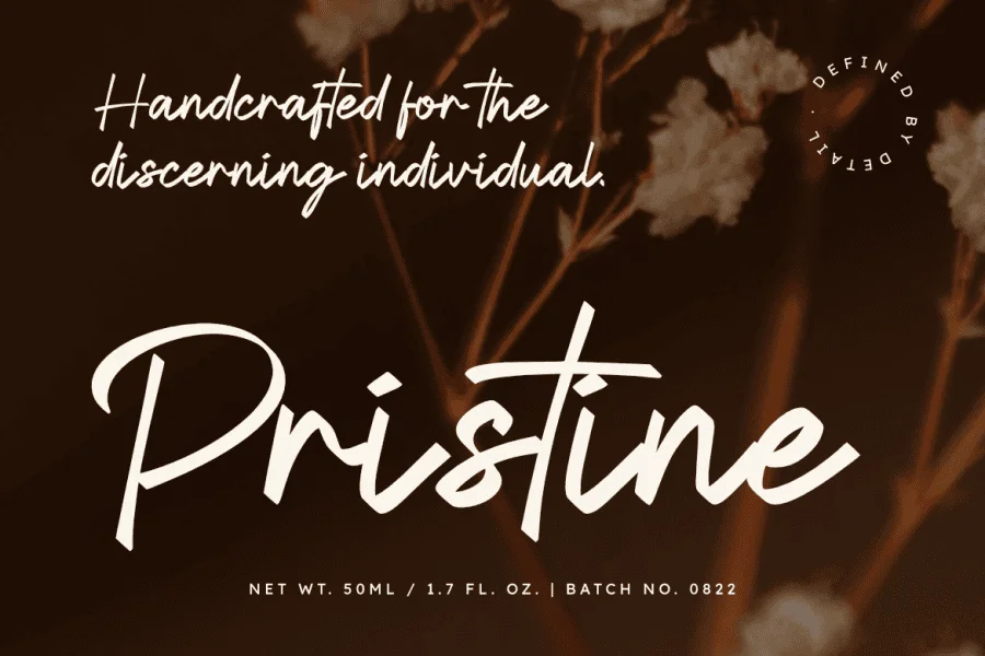 Anestha Script Font preview 5