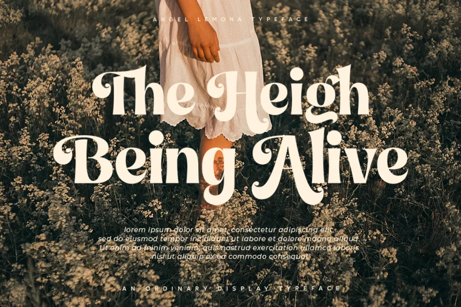 Angel LemonaDemo Font preview 3