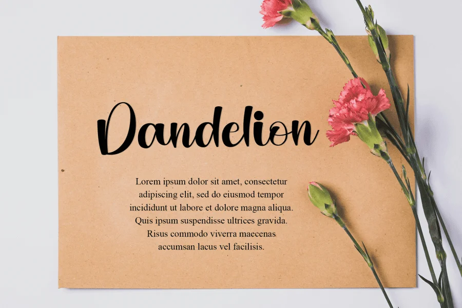 Angela In Wonderland Font preview 5