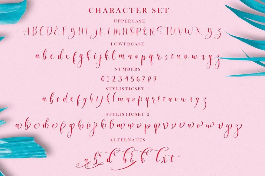 Angelina Script Font preview 7