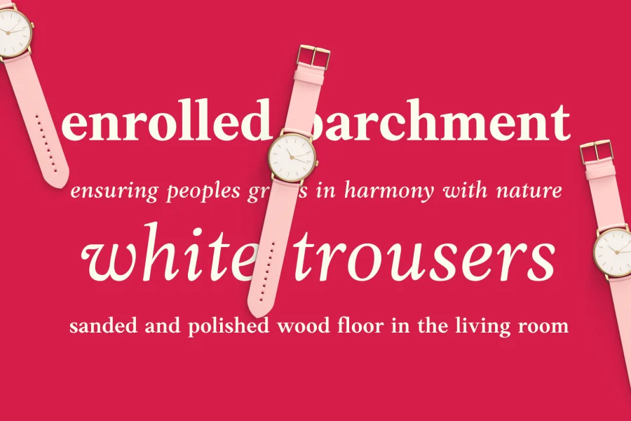 Anko Personal Use Font Family preview 6