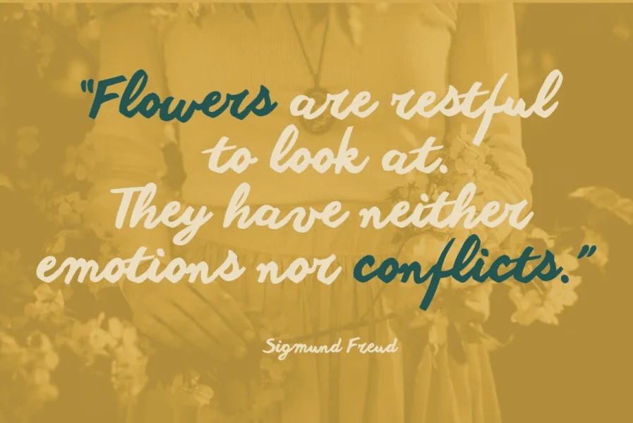 Another shabby Font Family preview 6