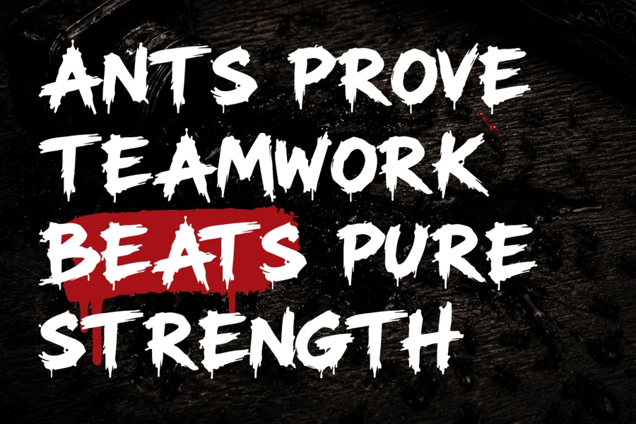 Antiink Font preview 8